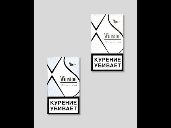 Обзор Winston xs