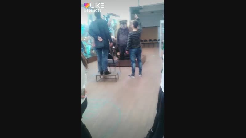 Пухлик