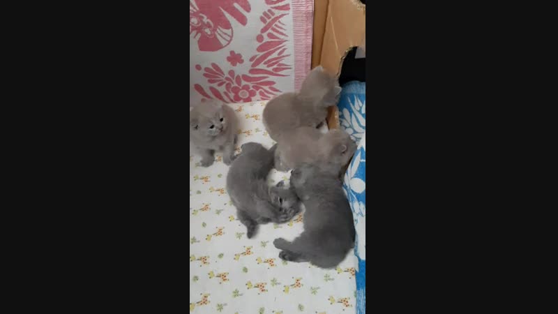 20190117_131417.mp4