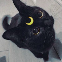 Кира Штейн | 