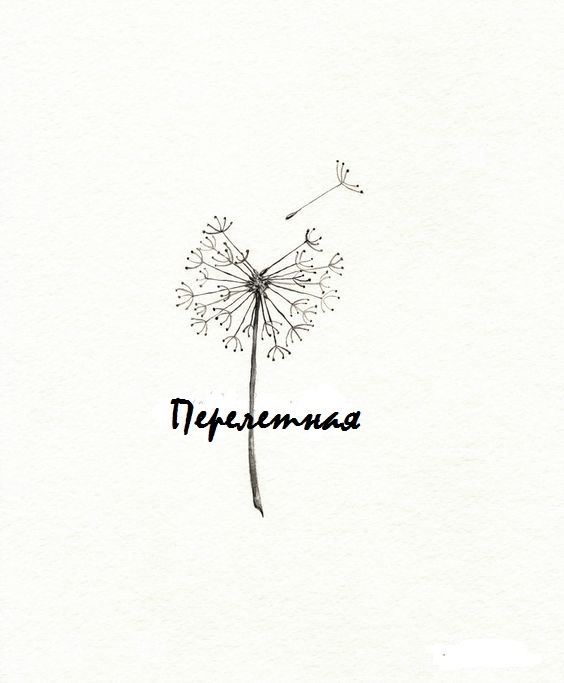 Афиша Ульяновск Фестиваль "Перелетная"