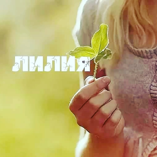 Картинки имя лилия, картинками прикольные картинки