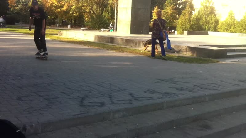 Skate and destroy