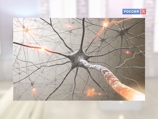 Правила жизни. Эфир от 05.10.2016