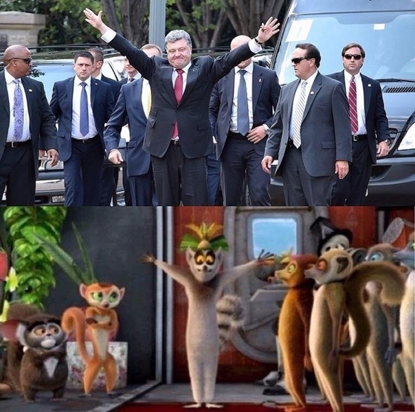 https://pp.userapi.com/c851428/v851428605/8e463/DxjdzzgBjH4.jpg
