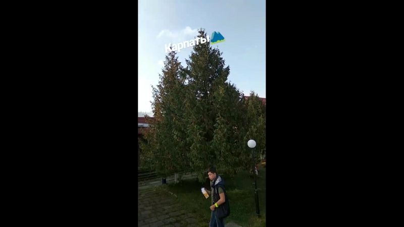 VID_264650605_190307_722.mp4