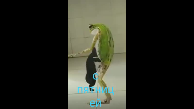 танцуем(☆▽☆)