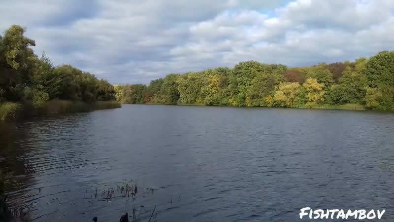 Цна.mp4