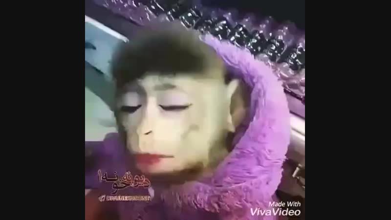 VID_20190221_132732_302.mp4