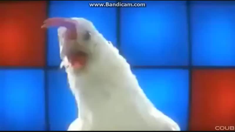 Оп давай давай, двигай телом отдыхай
