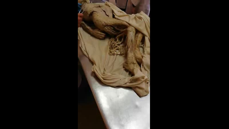Кристина попросила скинуть.