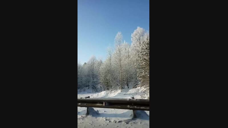 VID_20181222_122216.mp4