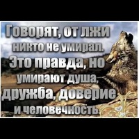 Анна Салтыкова | Лесозаводск