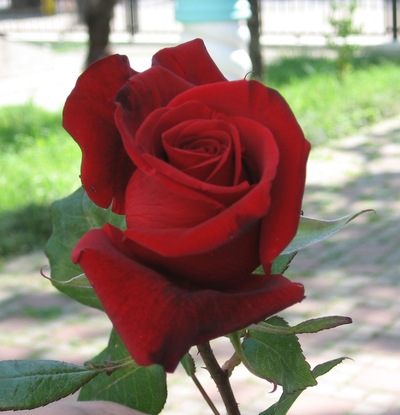 Марина Орешкова, Россия, Апатиты