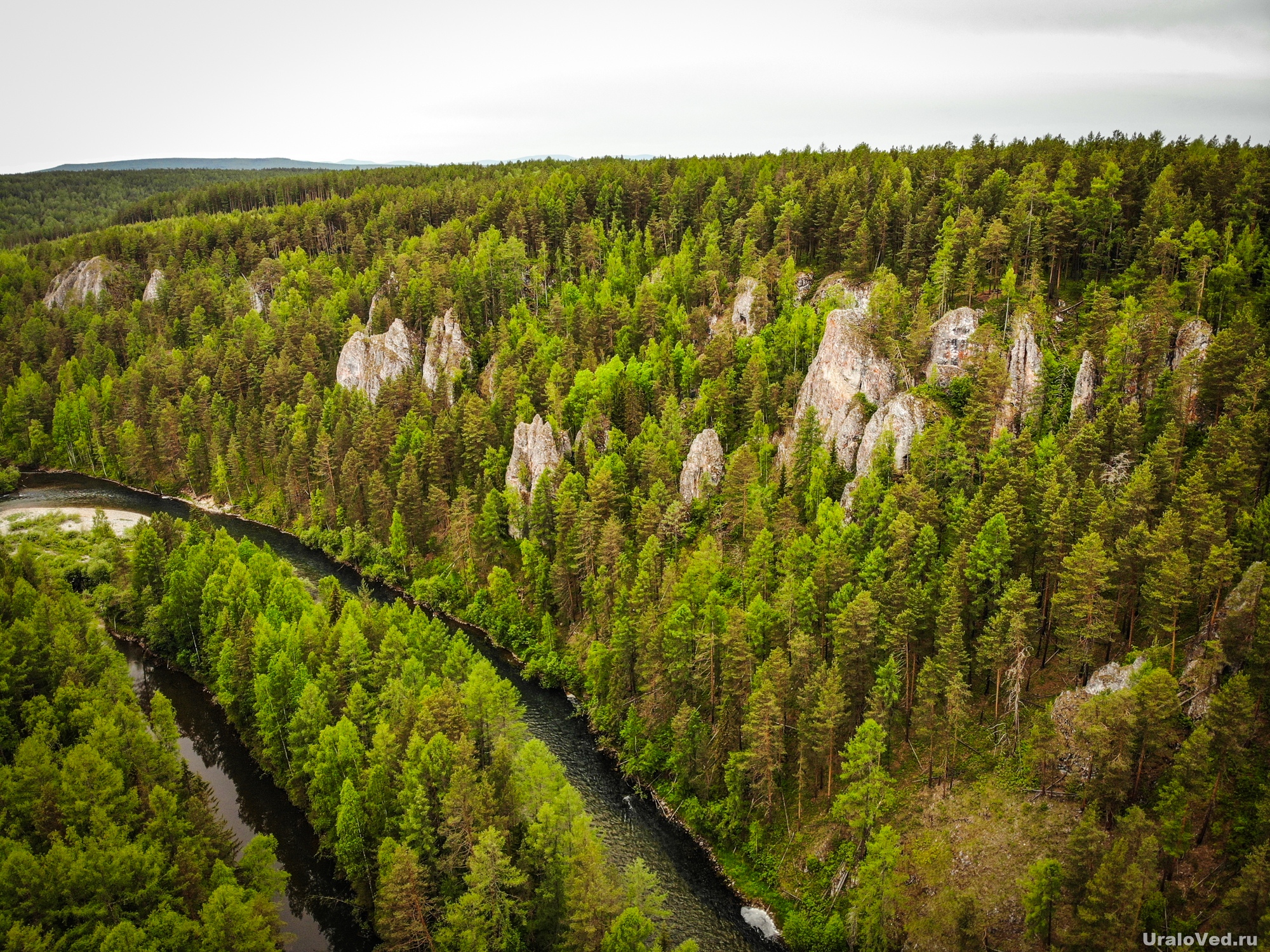 уральские горы сосны южный урал. горная тайга южный урал. гора айгир белорецкий район. горная тайга северного урала. темнохвойная тайга сибири.