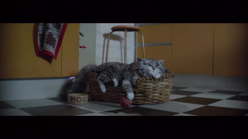 Mog Advert. Christmas Calamity