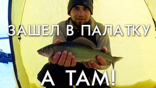 ЗАШЕЛ В ПАЛАТКУ А ТАМ! / РЫБАЛКА НА СИГА И ХАРИУСА / ВЕСНА 2019