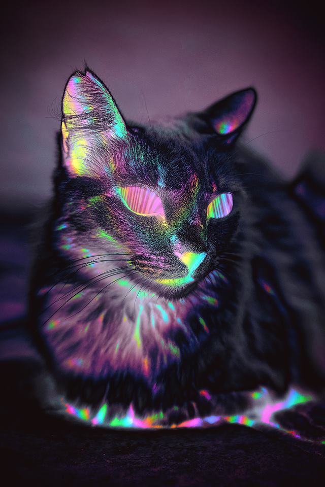 https://pp.userapi.com/c851520/v851520413/25cb7/N08n9_Ex7OE.jpg
