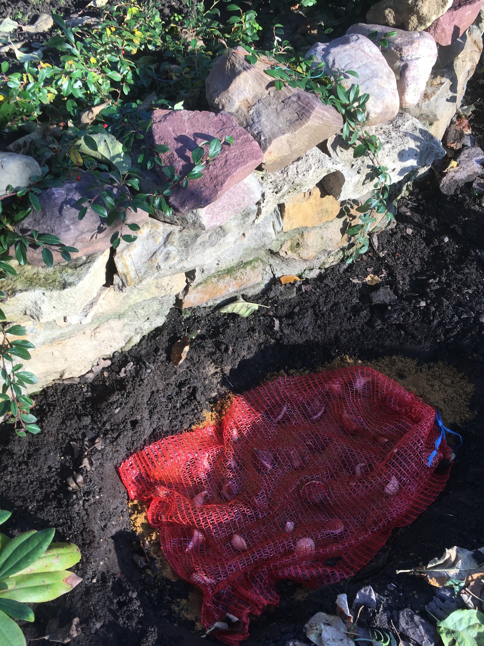 фотография из вКонтакте