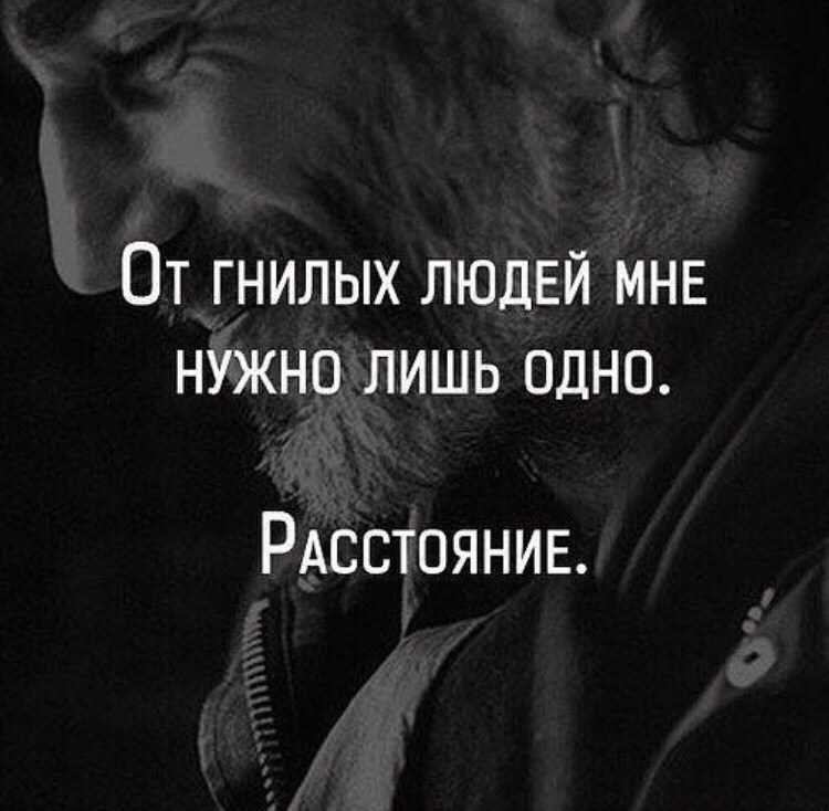Открытки, открытка про гнилых