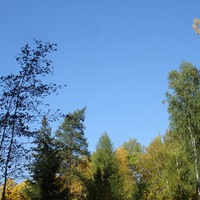 Александр Иванович