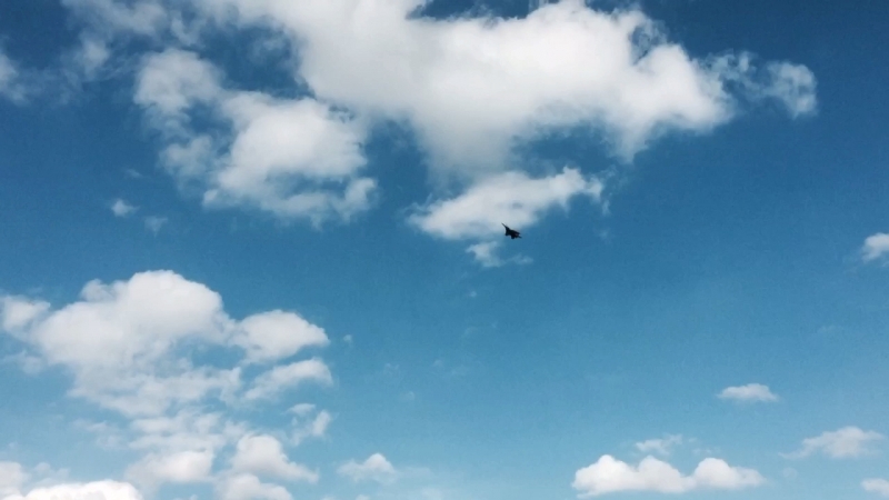 MIG 29 OVT- Low flying Cobra Pass