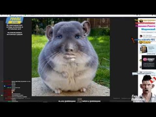 ВОТ ТЫ И ДОПРЫГАЛСЯ - БАН! ВАЛАКАС СМОТРИТ ФОТОЛУПЫ
