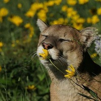 Вера Белякова |