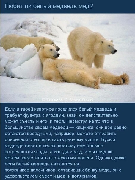 10 умных ответов на 10 глупых вопросов Часто в жизни возникают казалось бы простые, но довольно нелепые вопросы, на которые, ко всему прочему, нелегко найти