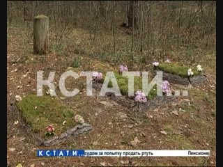 Придорожное кладбище в Балахнинском районе - грибники на обочине трассы обнаружили 3 неопознанные могилы