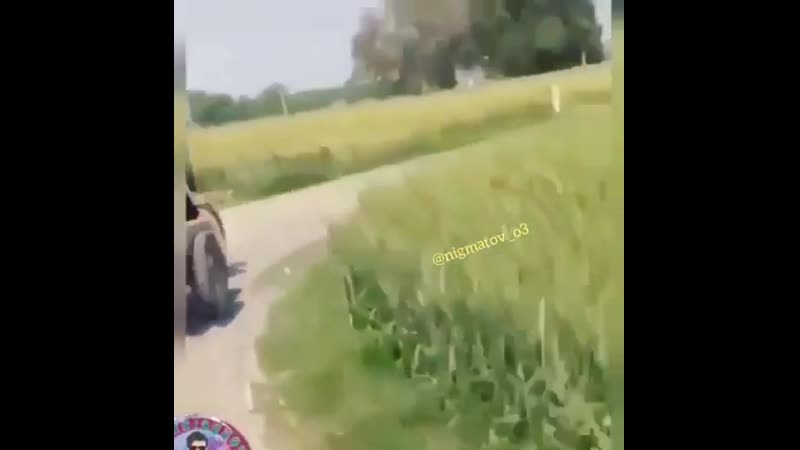кадам сари паваротай