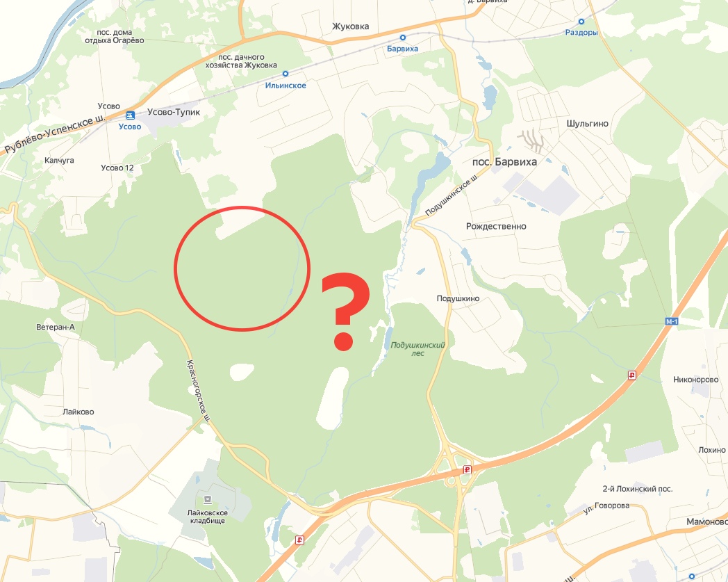 Подушкинский лес карта