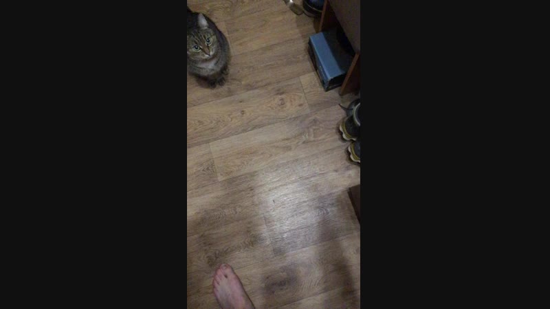 2017-08-11 19.42.08