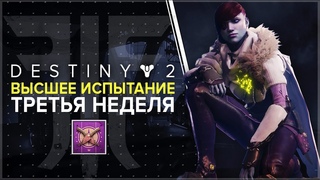 Destiny 2. Отвергнутые: Высшее испытание третьей недели. Контракт от Петры в Городе грез.