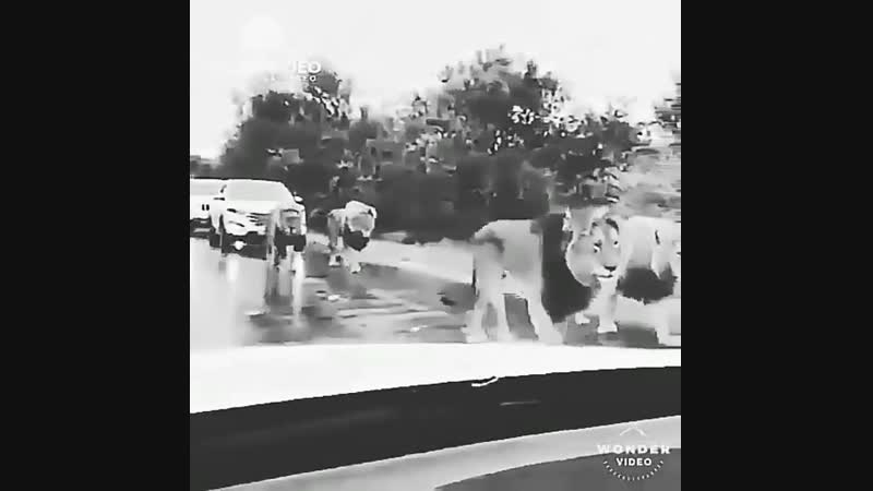 Pohuyist_ooInstaUtility_a95ba.mp4