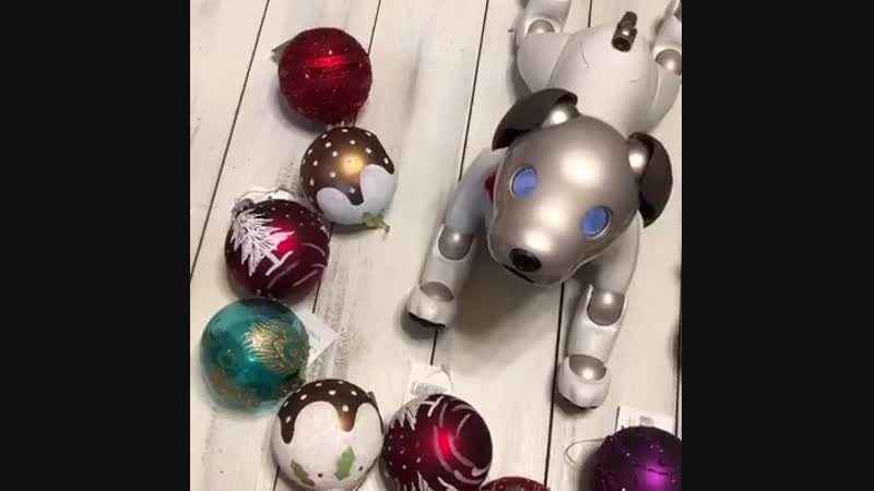 AIBO Merry Christmas