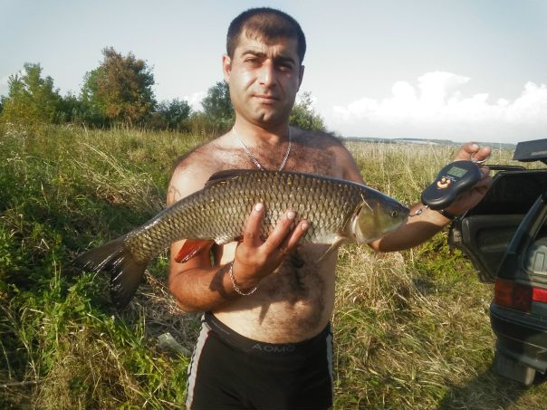 Рыбалка — Сейм, Курская область, 51.394, 34.509