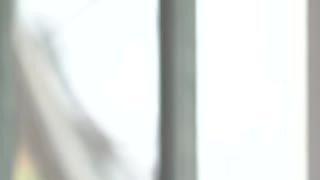 вДудь