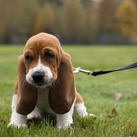 Екатерина Самотыя |