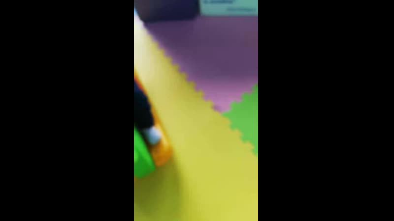 VID_20190215_150626.mp4