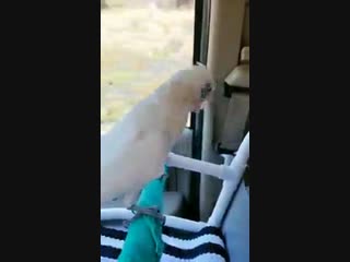 Когда выбрались в выходные за город