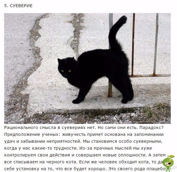 10 неразгаданных тайн человека Удивительно, но современную науку до сих пор озадачивают некоторые особенности нашей физиологии и психики. Британский научно-популярный журнал New Scientist