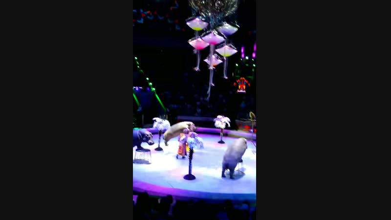 VID_20181227_170816.mp4