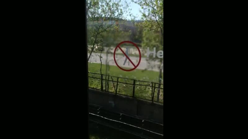 Май москоу трип