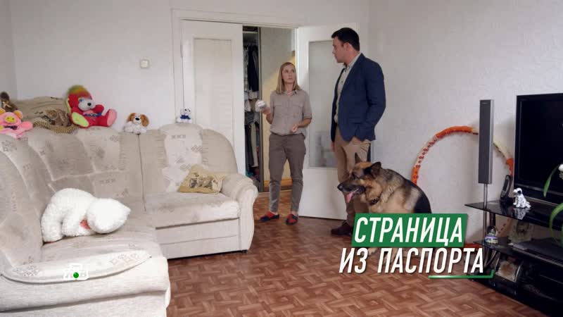 Смотреть Мухтар Новый Год