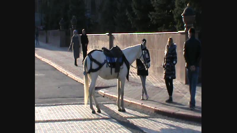 20121117050337