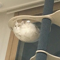 Анастасия Паршенок