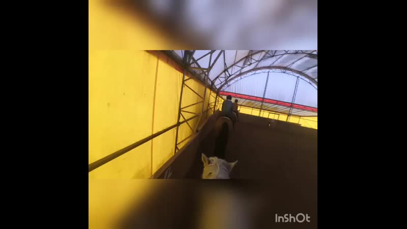 InShot_20190319_212025429.mp4