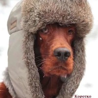 Рамиль Юсупов | Нижний Тагил