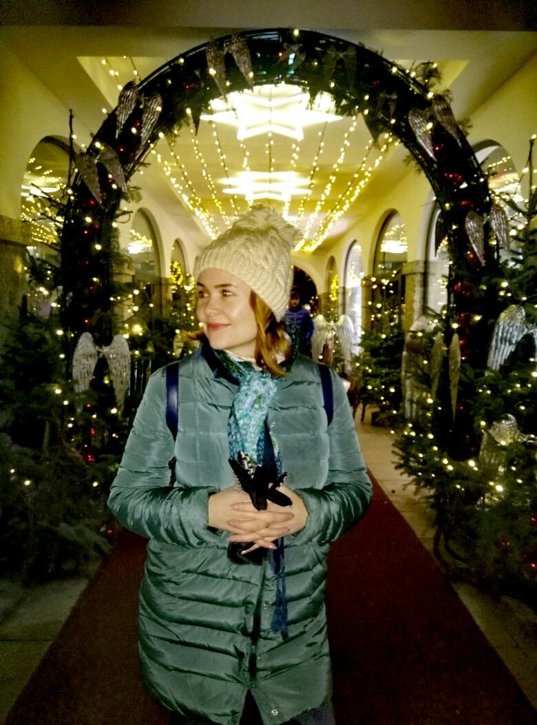 Рождественско-новогодний трип Германия-Австрия-Венгрия Рождественско-новогодний трип Германия-Австрия-Венгрия